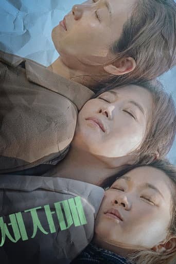 Pôster oficial do dorama Three Sisters em português
