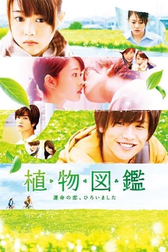 Pôster oficial do dorama Evergreen Love em português