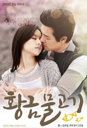 Pôster oficial do dorama Golden Fish em português