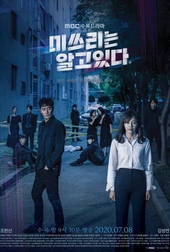 Pôster oficial do dorama She Knows Everything em português