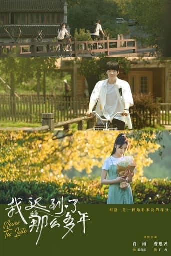 Pôster oficial do dorama Never Too Late em português